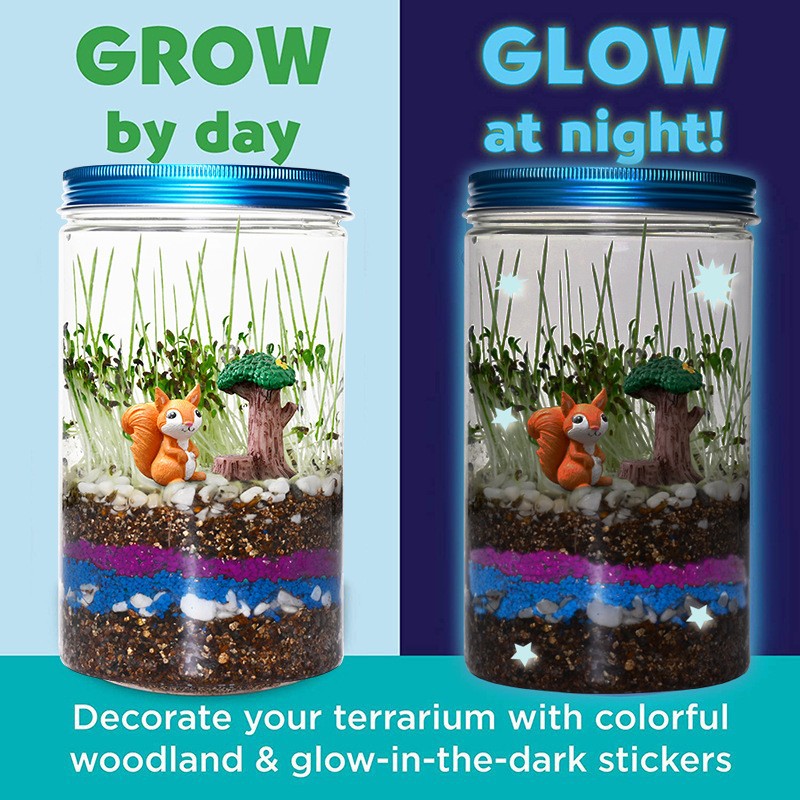 Indoor Planting Children's Fun - Science Nursery 评论和价格
