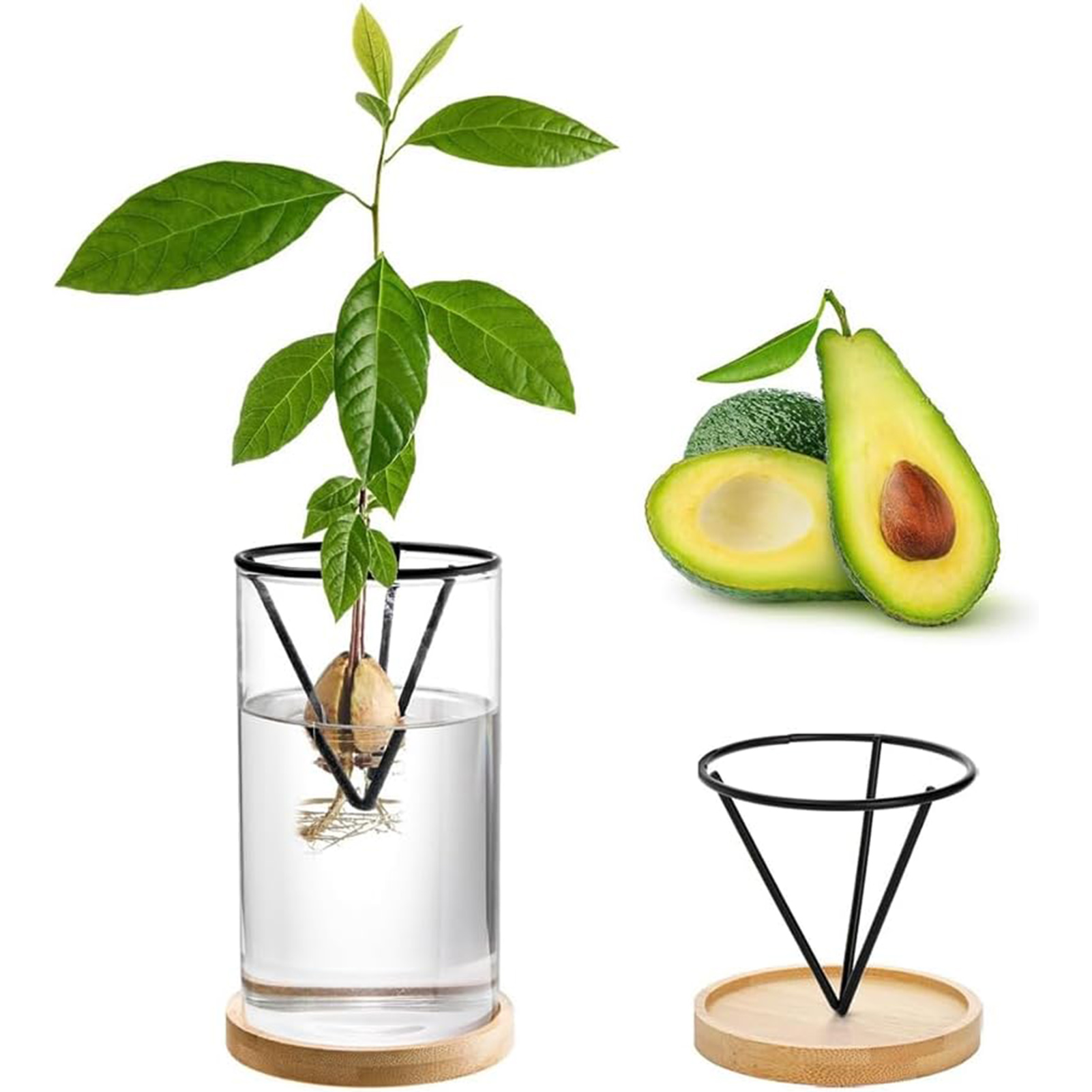 1Set Avocado Tree Growing Kits - Crystal Growing Kit 评论和价格