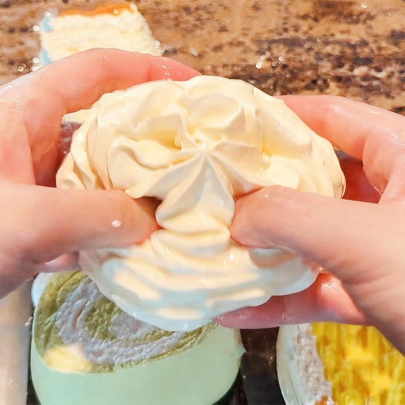 Cream Roll Slow Rebound Squish - Crystal Growing Kit 评论和价格