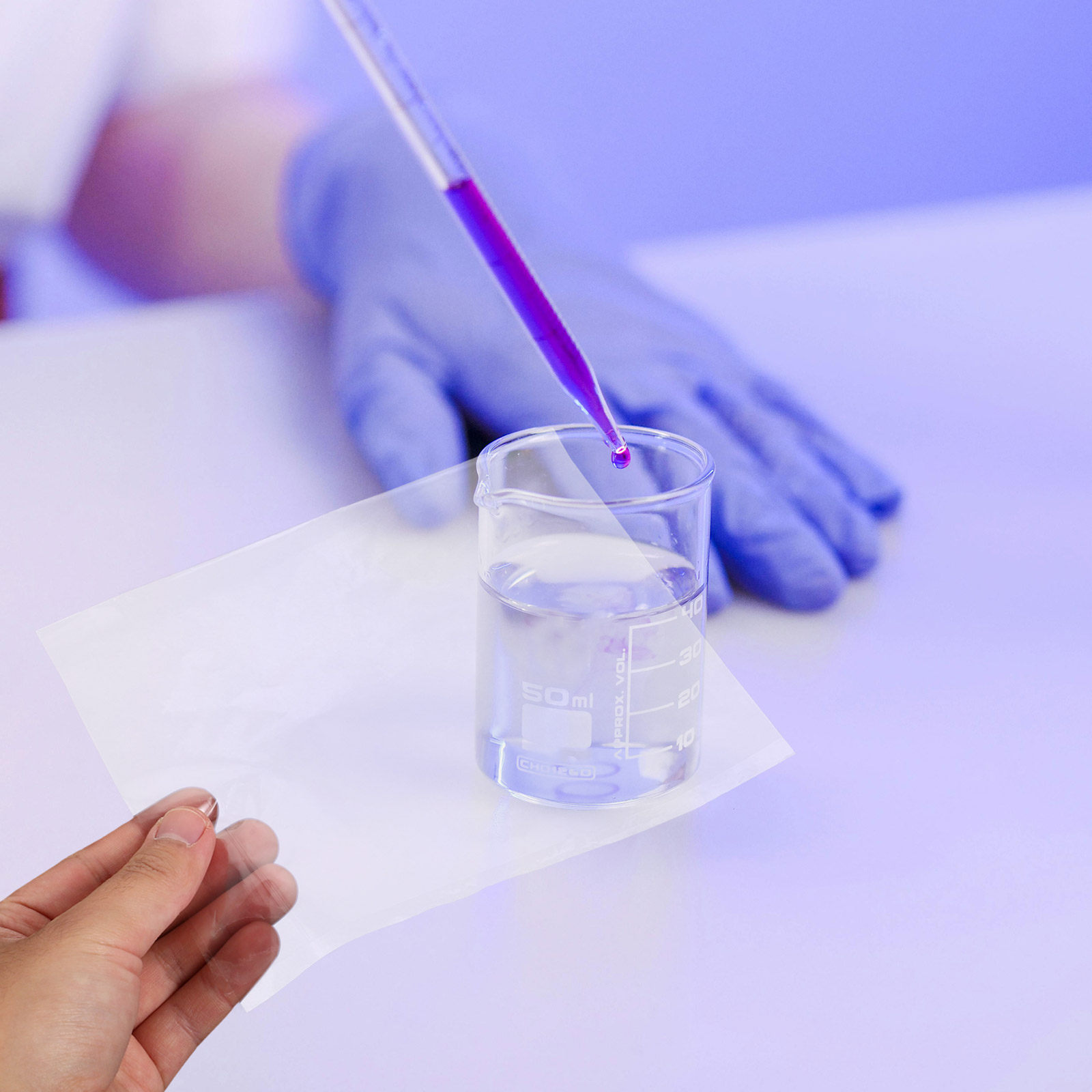 10Sheets Semi-Permeable Membra - Science Experiment 评论和价格